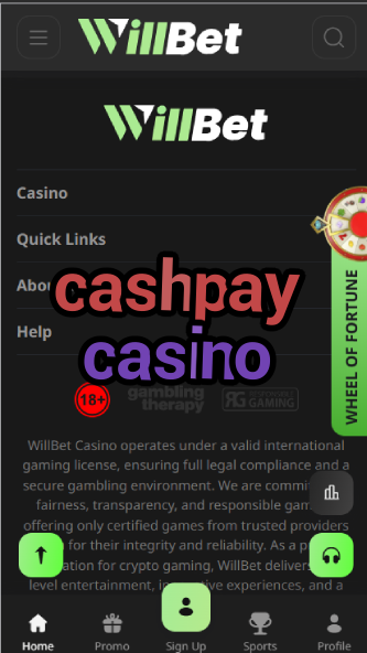 CashPay Casino - Quick Payouts & E-Wallet Support-casinoorder.vip